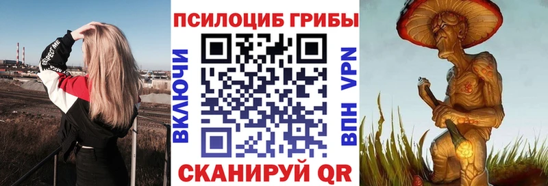 Псилоцибиновые грибы мицелий  Приморск 